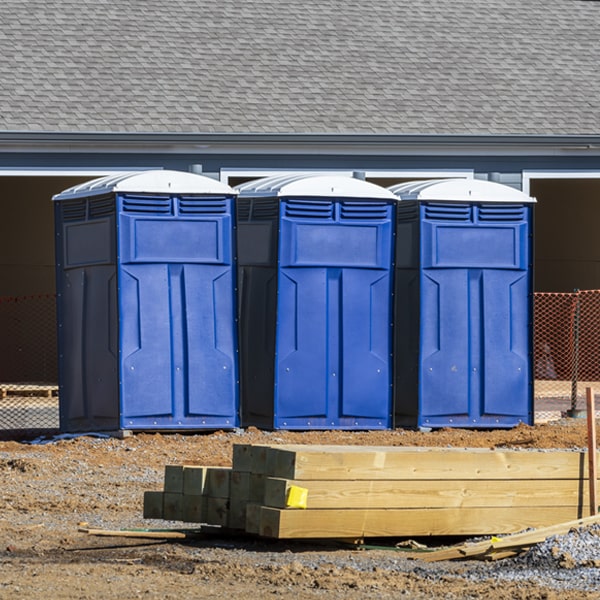 are there different sizes of portable toilets available for rent in Mc Connellsville New York